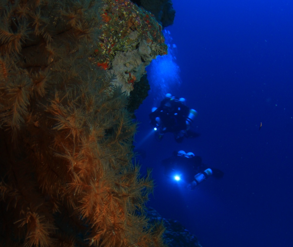 Trimix Rebreather Diver Level 4